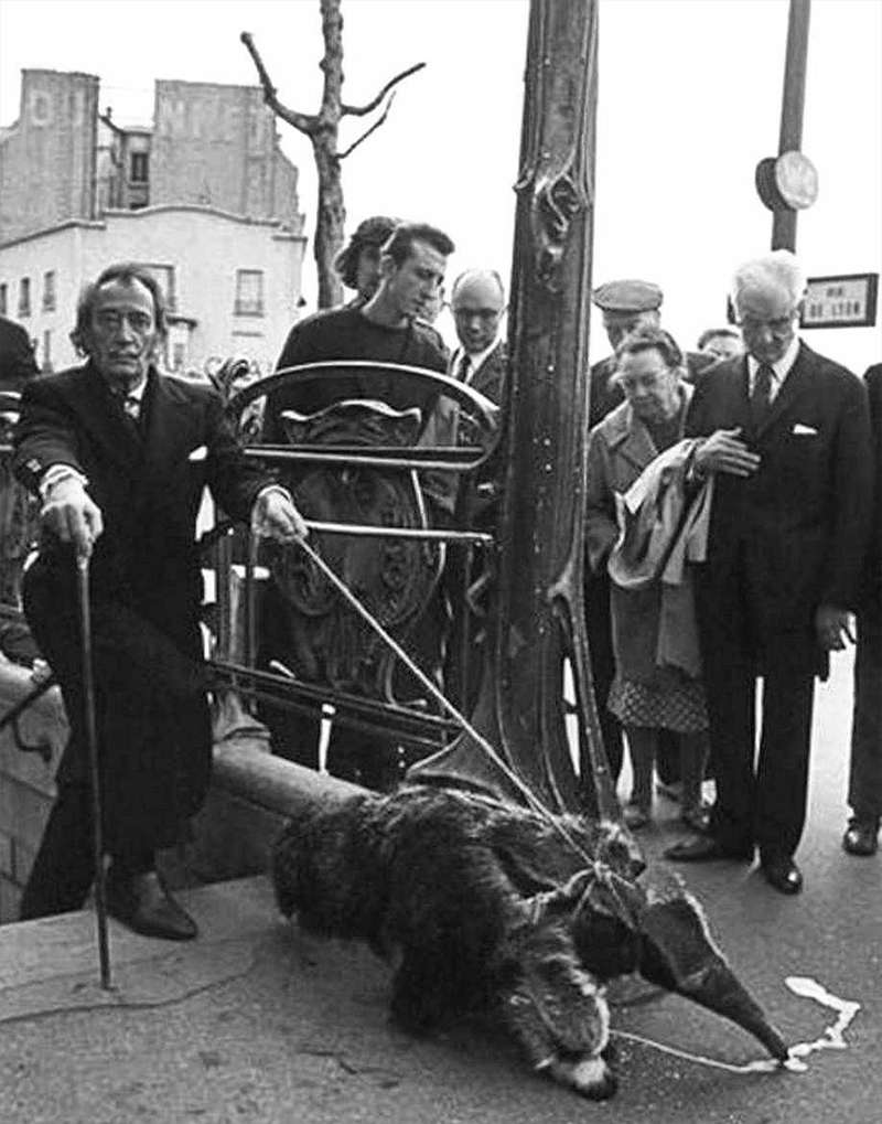 Сальвадор Дали прогуливается с муравьедом по улицам Парижа. 1969 год (Salvador Dali walks with an anteater through the streets of Paris, 1969 year)