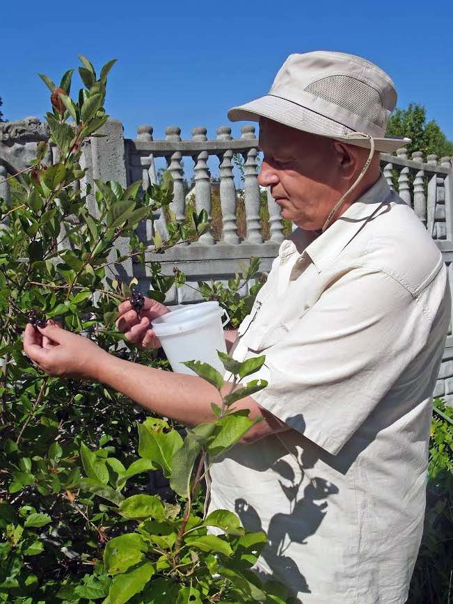 ����� ���������� �������� �������� ����� � ����