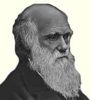 ����� ������ ������