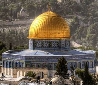 ������ ����� �����