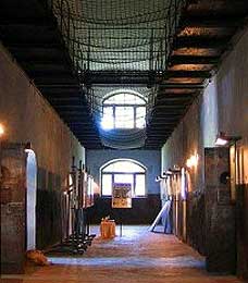 ������ ���������� ��� ������